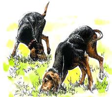 Diapositiva in quadretto copia nero focati rid