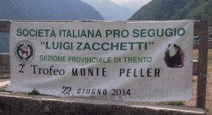 2° Trofeo M. Peller 14 icona