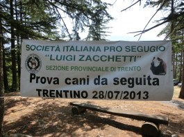 Mem Tezzele Manica 1