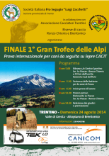 locandina immagine ok