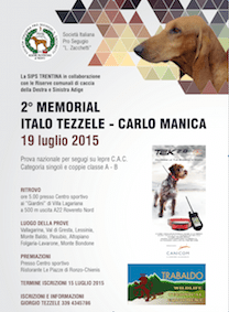 Mem. Tezzele manica 15 icona